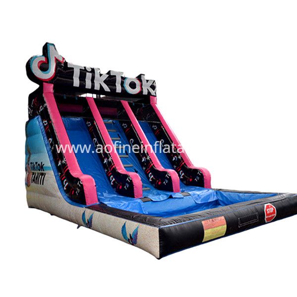 TikTok Theme Inflatable Water Slide Afs46