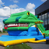 Inflatable Snappy Crocodile Mouth Slide Afs48