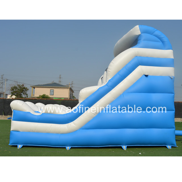 Backyard Inflatable Slide Afs04