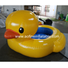 Duck Pool Afp307