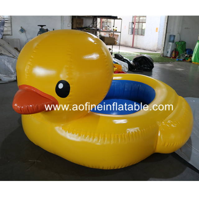 Duck Pool Afp307