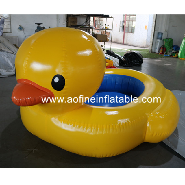 Duck Pool Afp307