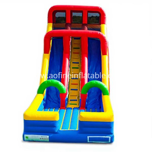 Large Inflatable Double Slide Afs42