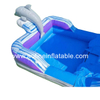 Dolphin Water Slide Afs22