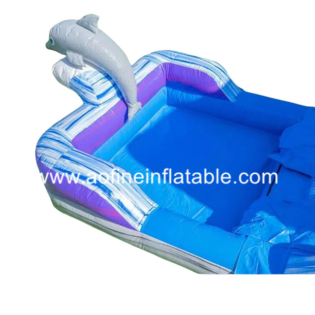 Dolphin Water Slide Afs22