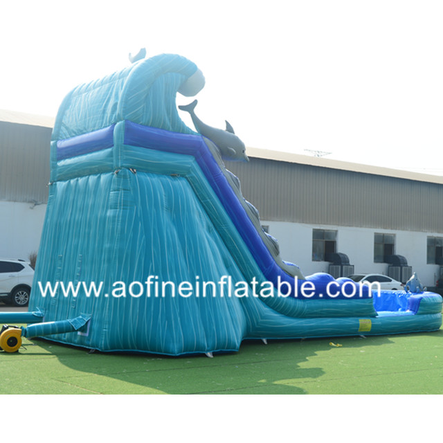 Dolphin Water Slide Afs32 