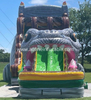 River Monster Water Slide Afs54