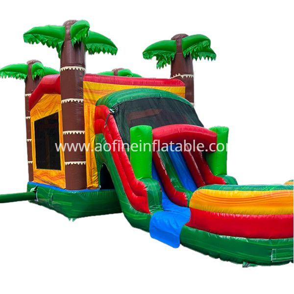 Tropical Bouncer Water Combo Afc57