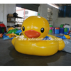 Duck Pool Afp307