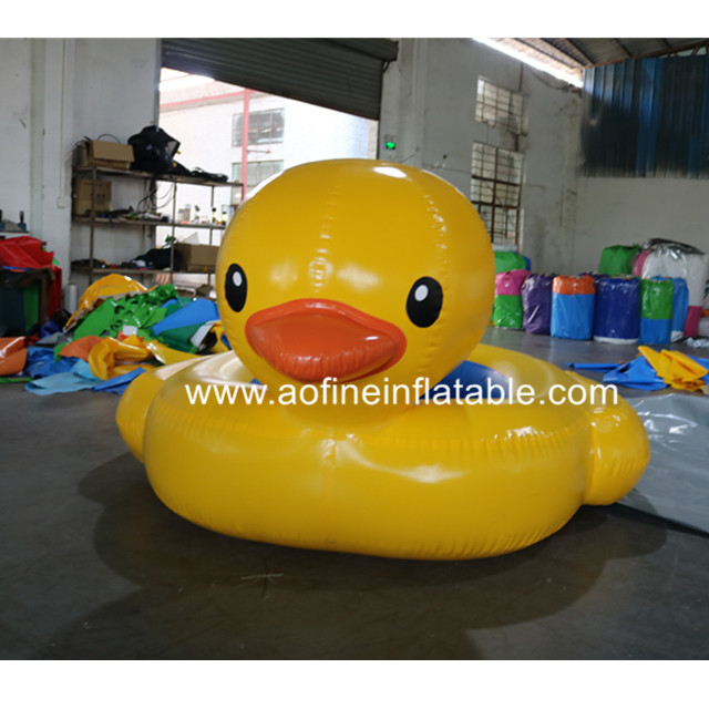 Duck Pool Afp307