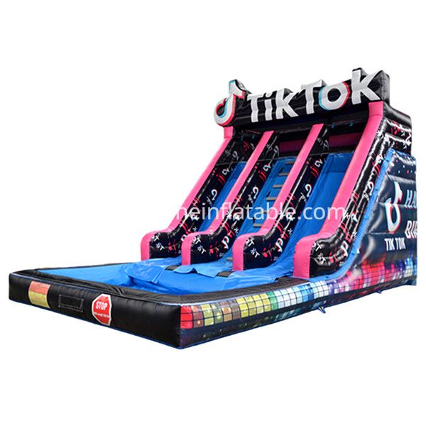 TikTok Theme Inflatable Water Slide Afs46