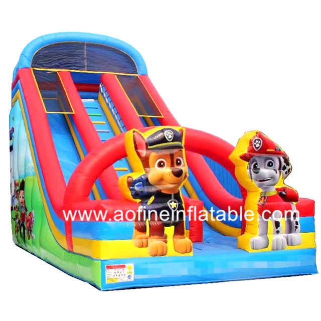 Paw Patrol Dual Slide Afs10
