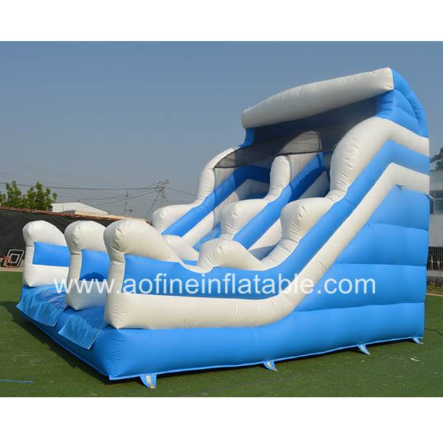 Backyard Inflatable Slide Afs04