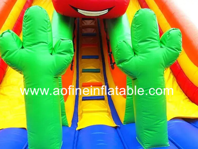 Racing Car Slide Afs14
