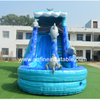 Dolphin Water Slide Afs32 