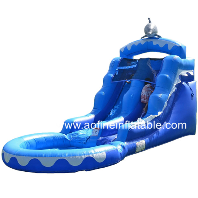 Dolphin Inflatable Water Slide Afs39