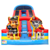 Paw Patrol Dual Slide Afs10