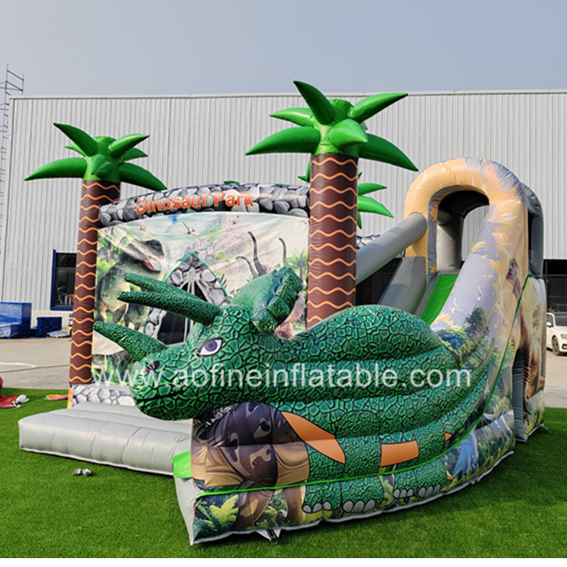 Dragon Castle Slide Afc07