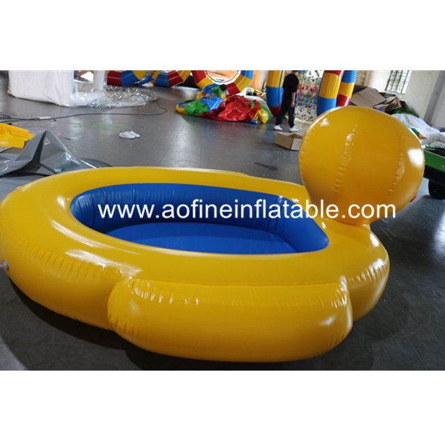 Duck Pool Afp307