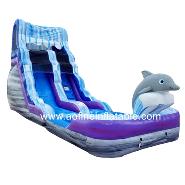 Dolphin Water Slide Afs22