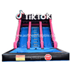TikTok Theme Inflatable Water Slide Afs46