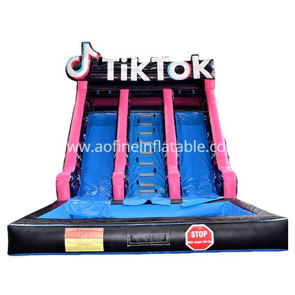 TikTok Theme Inflatable Water Slide Afs46