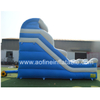 Backyard Inflatable Slide Afs04