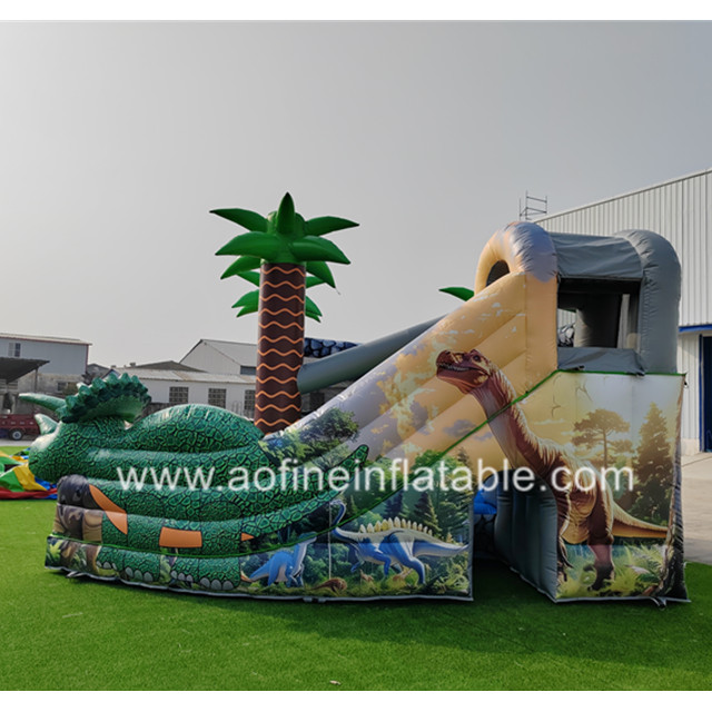Dragon Castle Slide Afc07