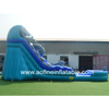 Dolphin Water Slide Afs32 
