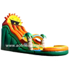 Sunshine Water Slide Afs24