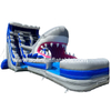 Commercial Shark Water Slide Afs02