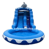 Dolphin Inflatable Water Slide Afs39