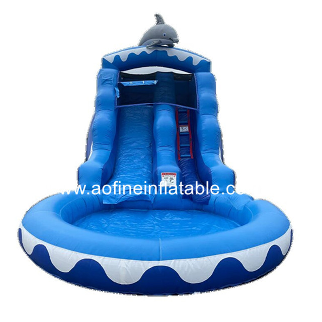 Dolphin Inflatable Water Slide Afs39