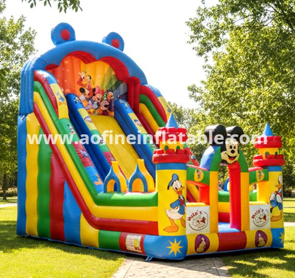 Mickey Cartoon Dry Slide Afs58