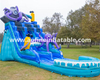 Dual Lane Octopus Water Slide Afs57